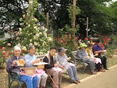 もも太郎さん 上ノ台