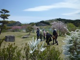 もも太郎さん 大郷